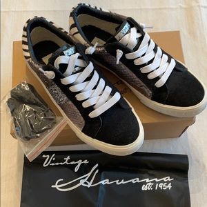 Vintage Havana Player